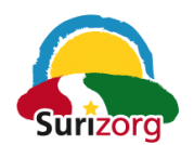 Surizorg
